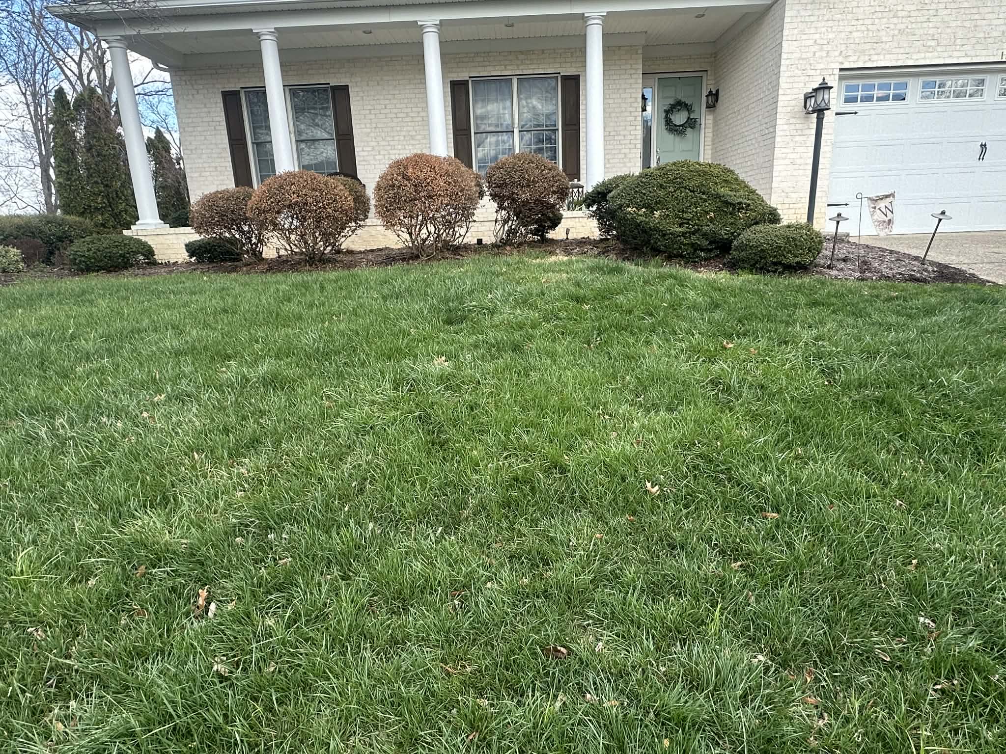 JSE Landscaping project 10